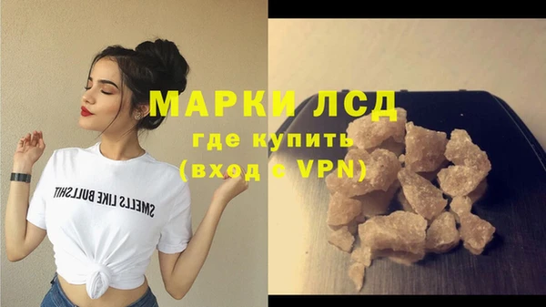 хмурый Алзамай