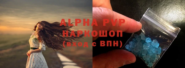 хмурый Алзамай