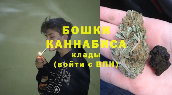 гашик Алексеевка