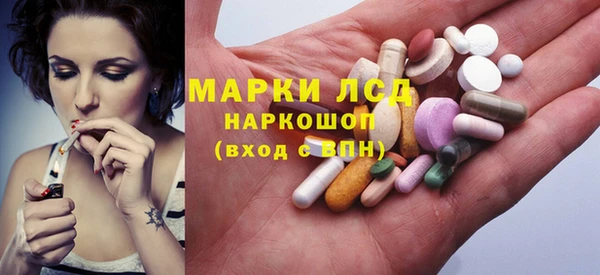 хмурый Алзамай